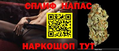 хмурый Краснодар