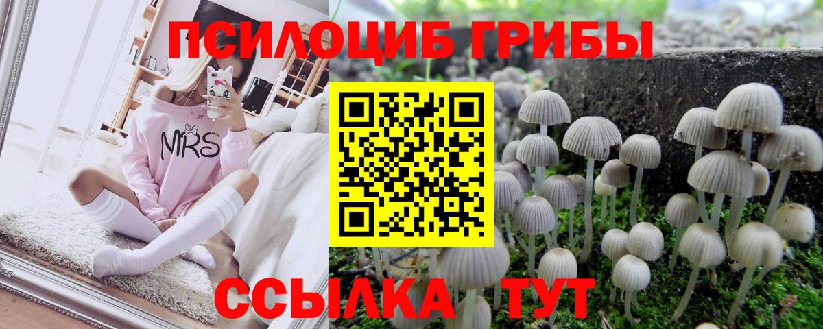 Касимов  Конопля  Вход с VPN  Гашиш  Alpha-PVP СК   Гашиш  Меф  
