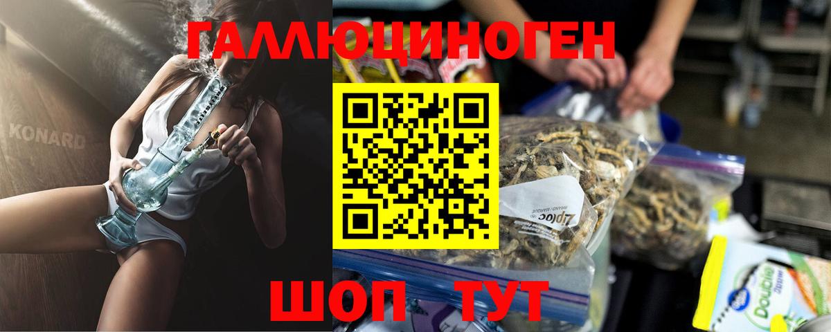 Касимов  Псилоцибиновые грибы Cubensis  Вход с VPN 